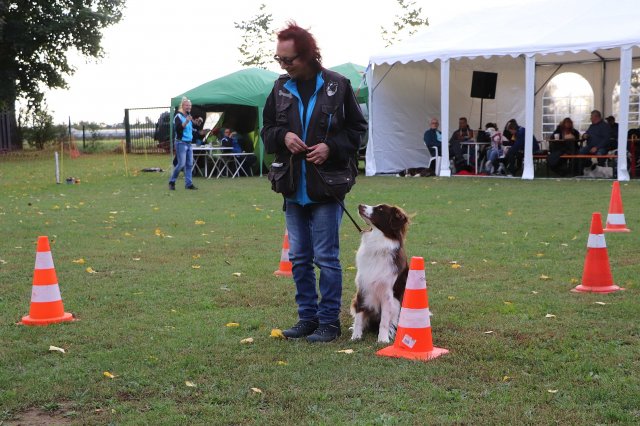 Herbstfest 2019